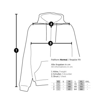 Molotow Hoddie Grey