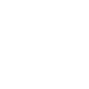 UniPAINT
